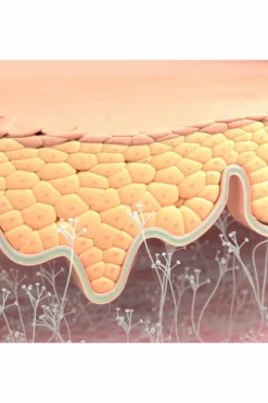 Baume hydratant Atoderm Intensive