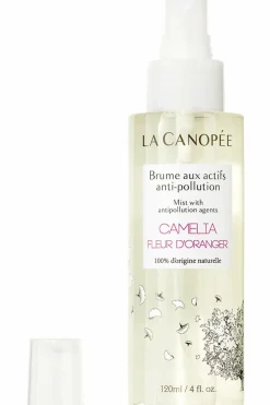 Brume aux actifs anti-pollution