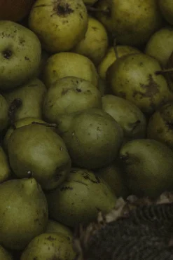 Complément alimentaire volume & densité pour cheveux fins