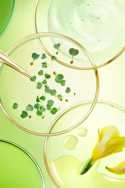 Crème anti-âge global Nuxuriance Ultra