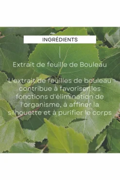 Crème de douche gommante au bouleau