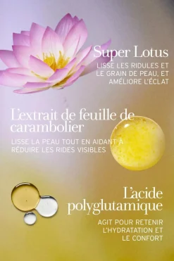 Crème de jour au lotus et à la vitamine E