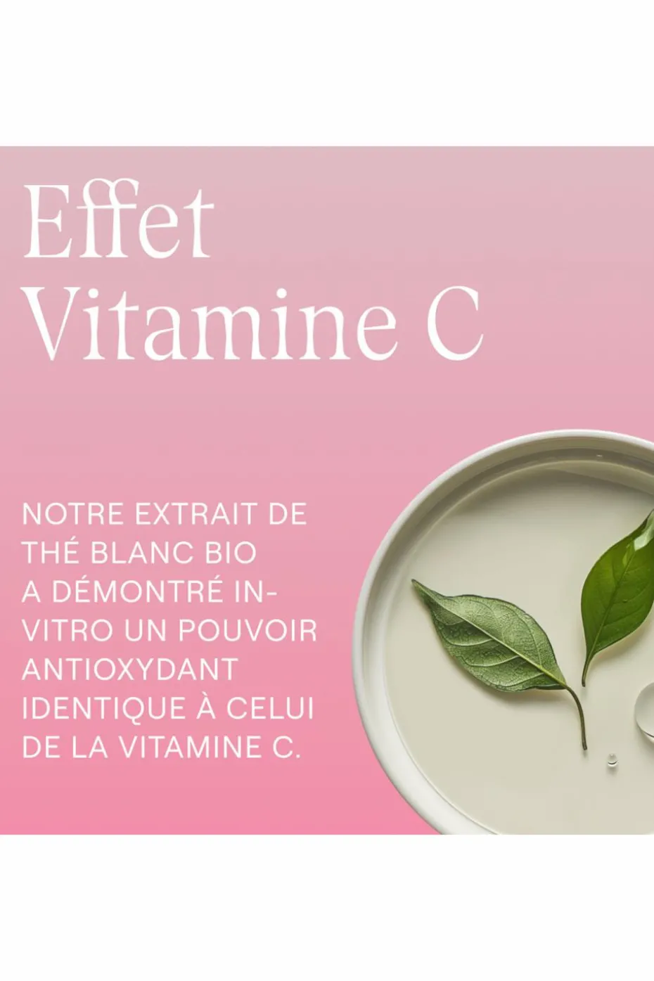 Crème de jour lissante rose musquée & thé blanc