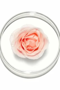 Crème hydratante anti-stress Hydra Zen SPF15