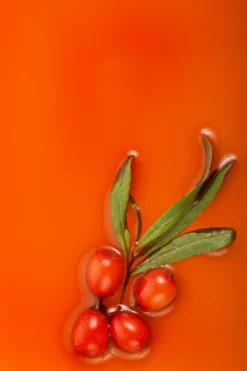 Crème pieds à l’argousier