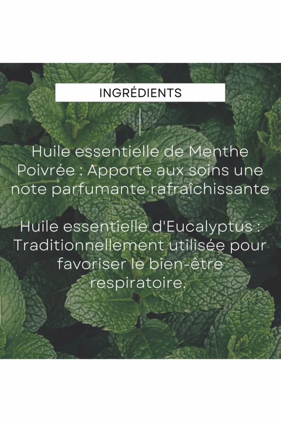 Déodorant stick eucalyptus peppermint