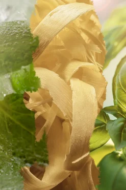 Eau de parfum Green Crush