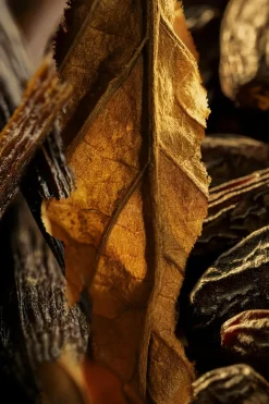 Eau de parfum Tobacco Volute