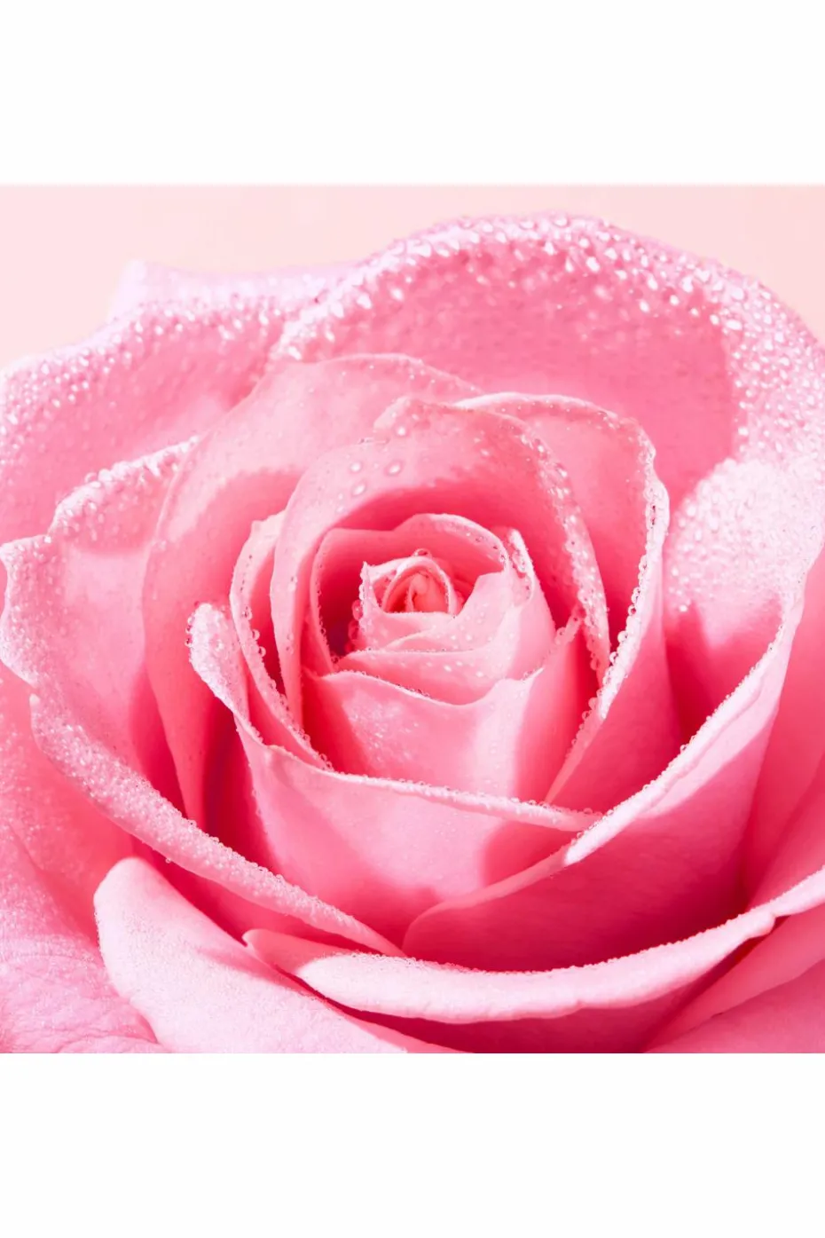 Eau micellaire apaisante 3-en-1 Very Rose