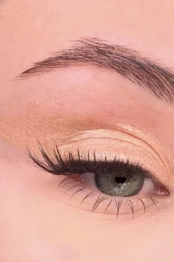 Fard à paupières naturel & vegan