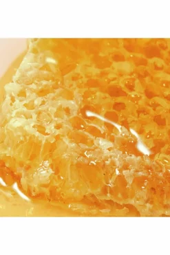 Gel lavant surgras visage et corps Rêve de Miel® rechargeable