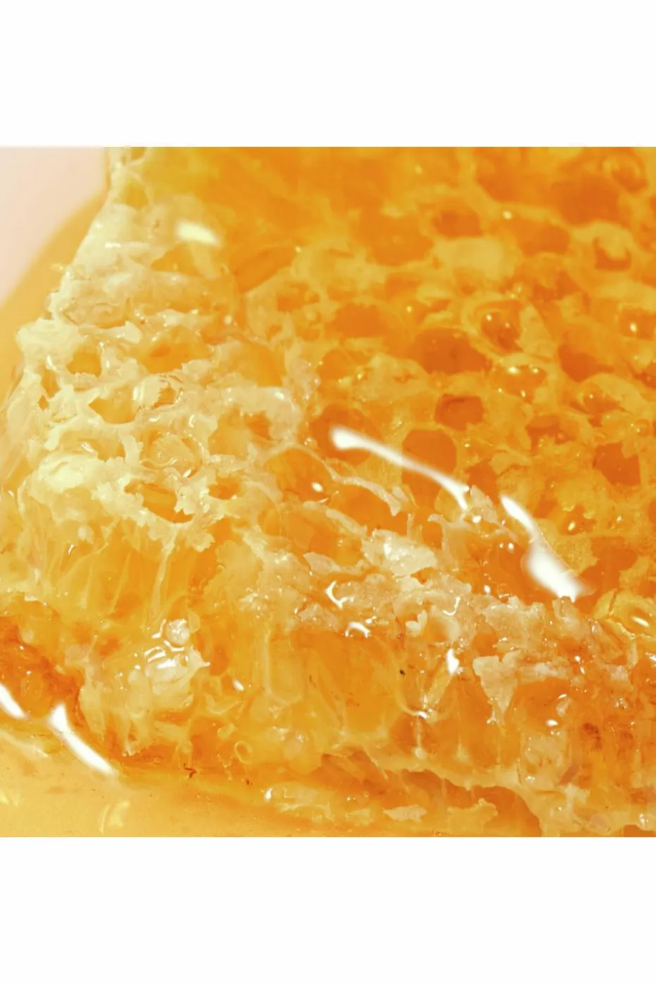 Gel lavant surgras visage et corps Rêve de Miel® rechargeable