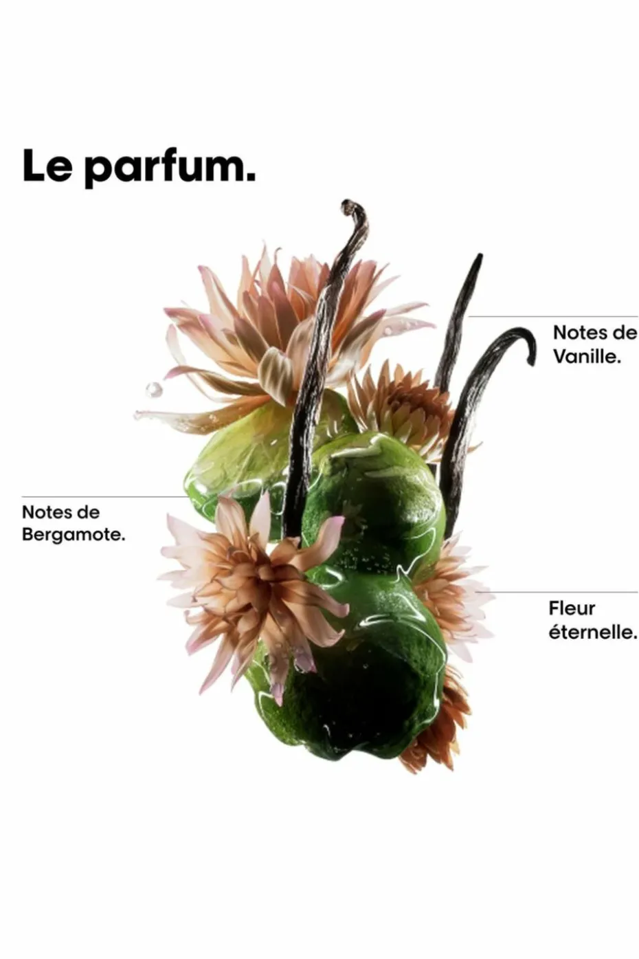 Huile bi-phase Serie Expert Absolut Repair Molecular