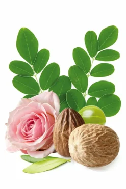 Huile capillaire régénérante et réparatrice Rose Repair