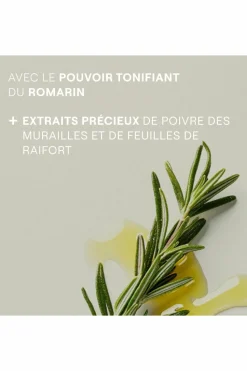 Lotion capillaire tonifiante