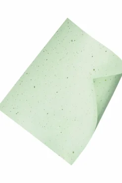 Papiers matifiants au chanvre