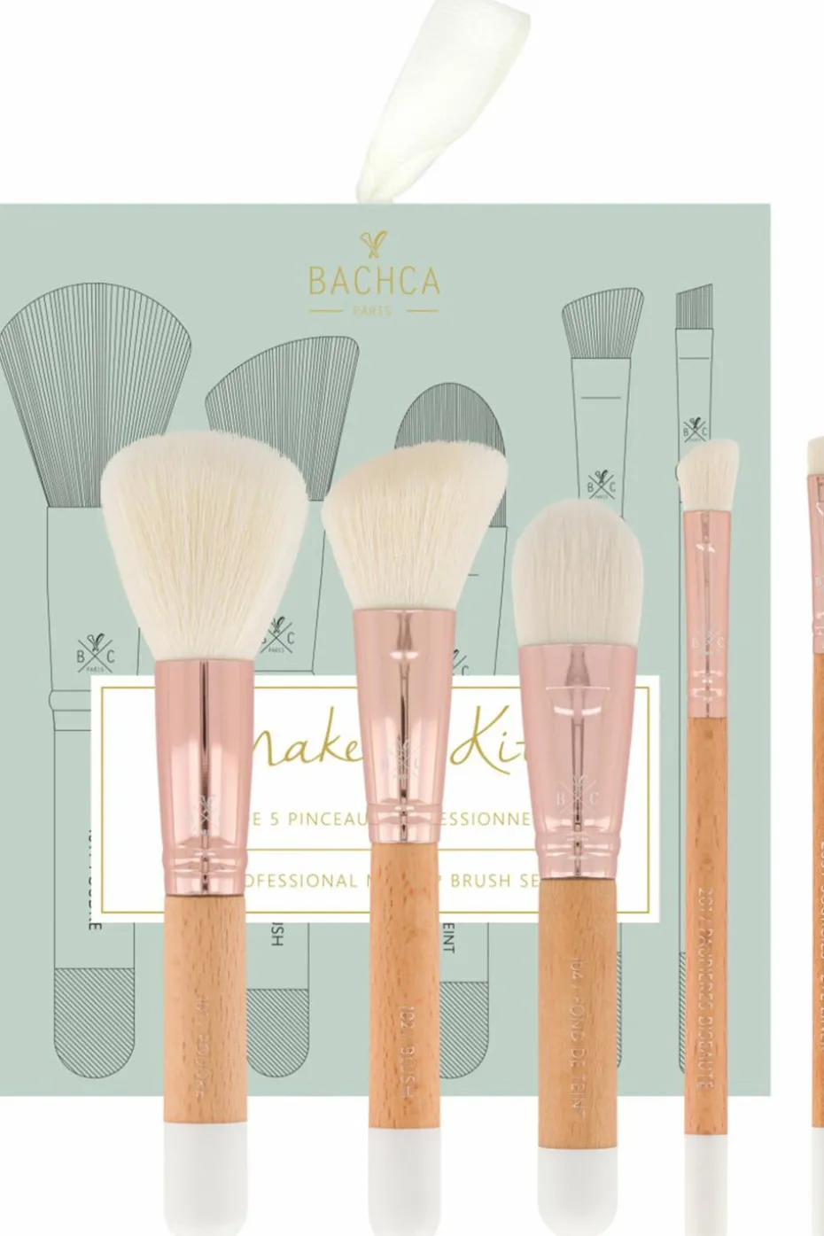 Set de pinceaux professionnels