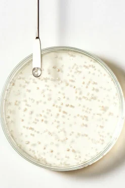 Shampoing antichute Triphasic