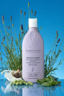 Shampoing restructurant Smooth Start