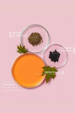 Shampooing purifiant et détoxifiant