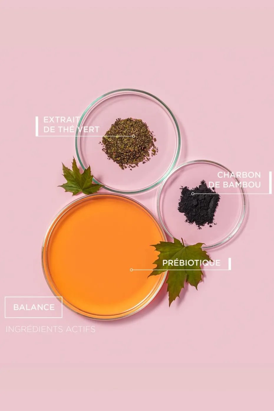 Shampooing purifiant et détoxifiant