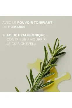 Shampooing revitalisant au romarin