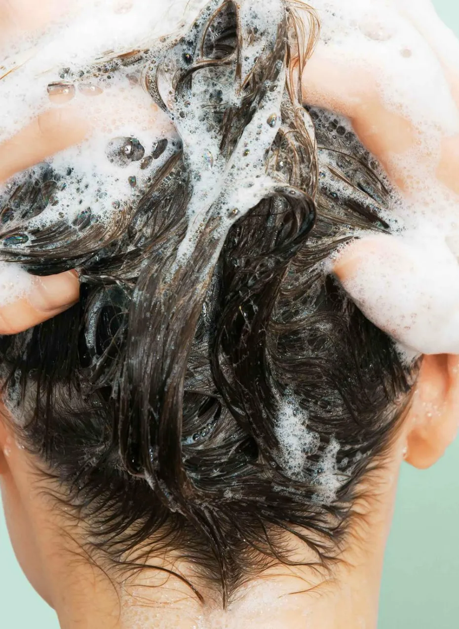 Shampooing solide nourrissant