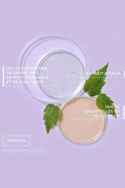 Spray racine fortifiant accélérateur de croissance