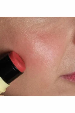 Stick baume lèvres & blush Fantastick