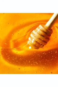 Stick lèvres hydratant Rêve de Miel®